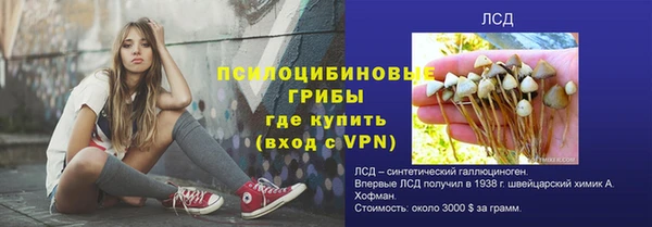 первитин Осташков