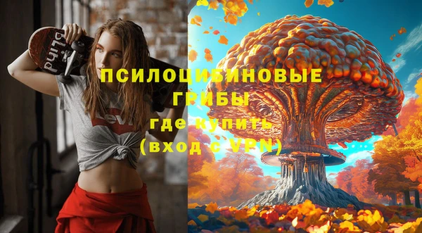 первитин Осташков